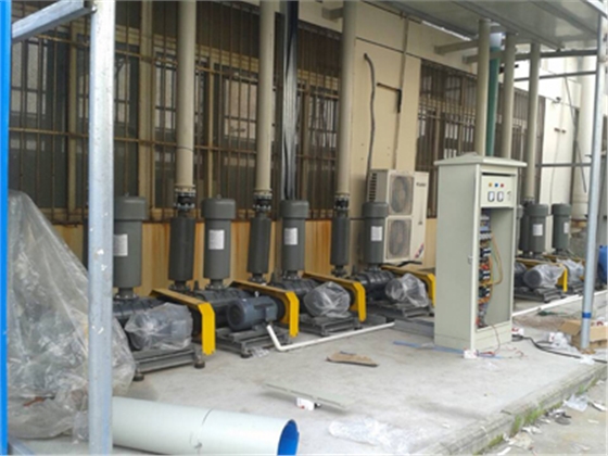 羅茨鼓風(fēng)機應(yīng)用實例