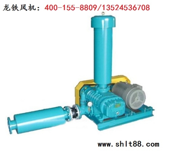 龍鐵羅茨鼓風(fēng)機.jpg