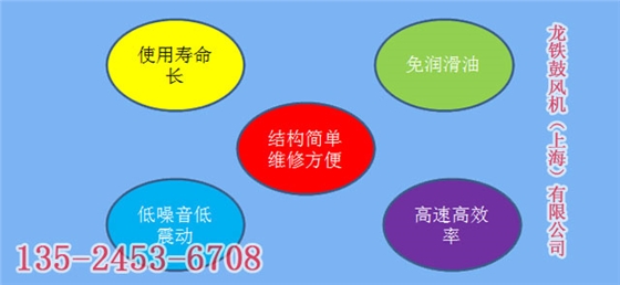 羅茨鼓風機的特點