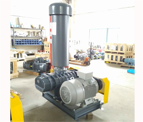 龍鐵羅茨風(fēng)機(jī)