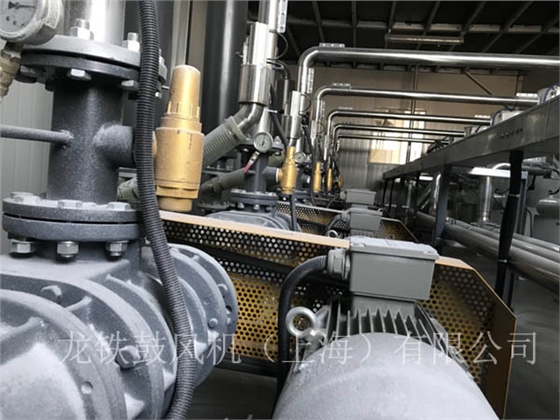羅茨鼓風(fēng)機(jī)正負(fù)荷運(yùn)行.jpg