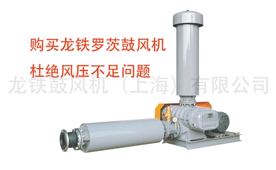 羅茨鼓風(fēng)機