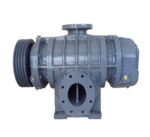 雕刻設(shè)備魯氏真空泵