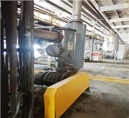 造紙機(jī)械魯氏真空泵