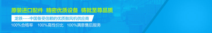 龍鐵締造100%高品質規劃、高性價比鼓風機