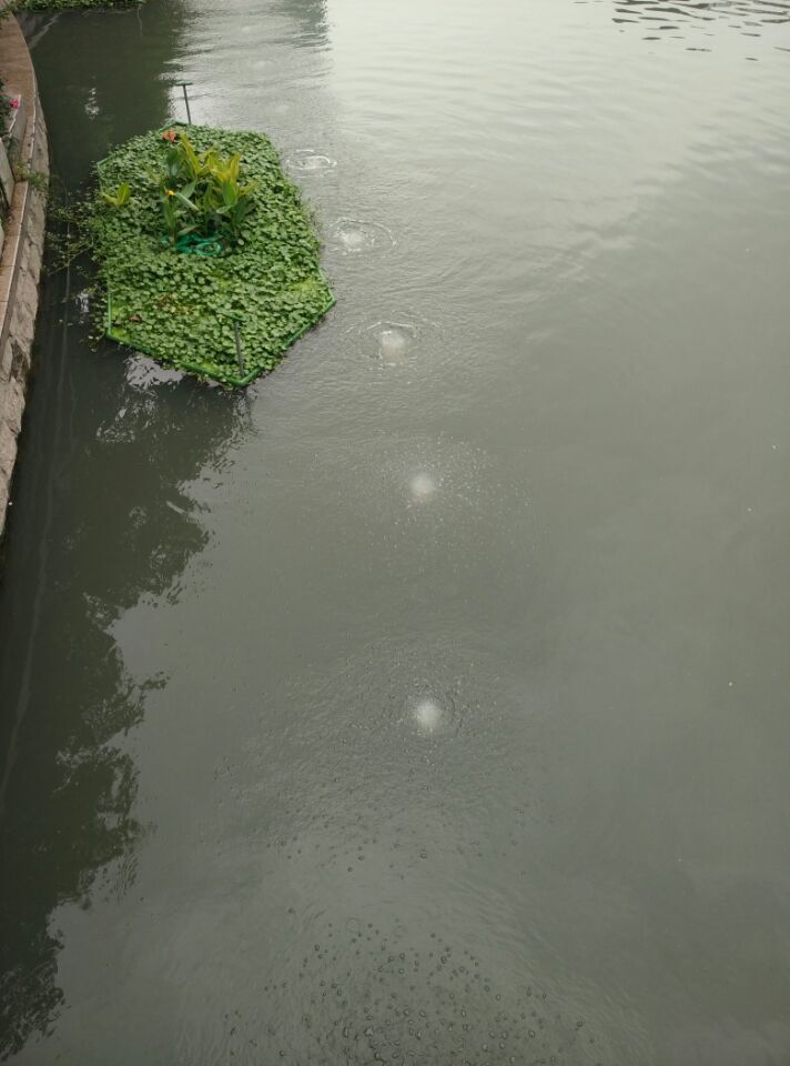 龍鐵沉水式鼓風(fēng)機(jī)廠(chǎng)家