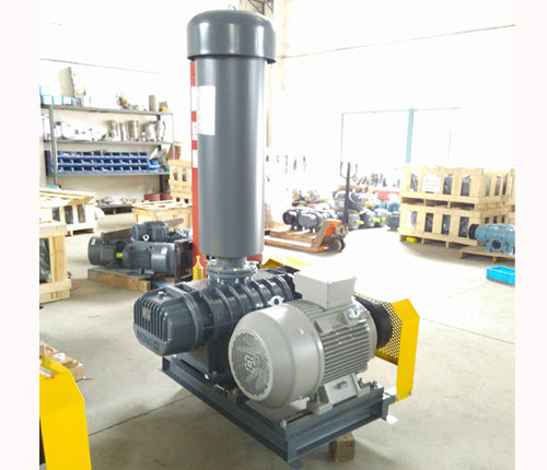 龍鐵羅茨風(fēng)機(jī)