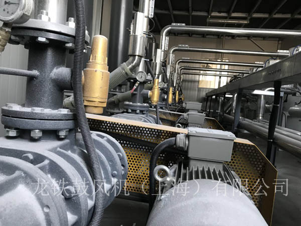 羅茨鼓風(fēng)機(jī)正負(fù)荷運(yùn)行.jpg