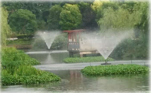 表面曝氣設(shè)備 表面曝氣設(shè)備