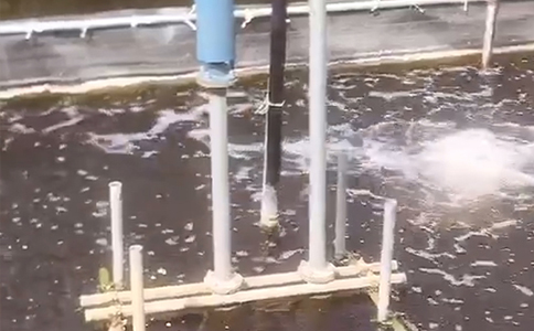 沉水式曝氣設(shè)備 沉水式曝氣設(shè)備