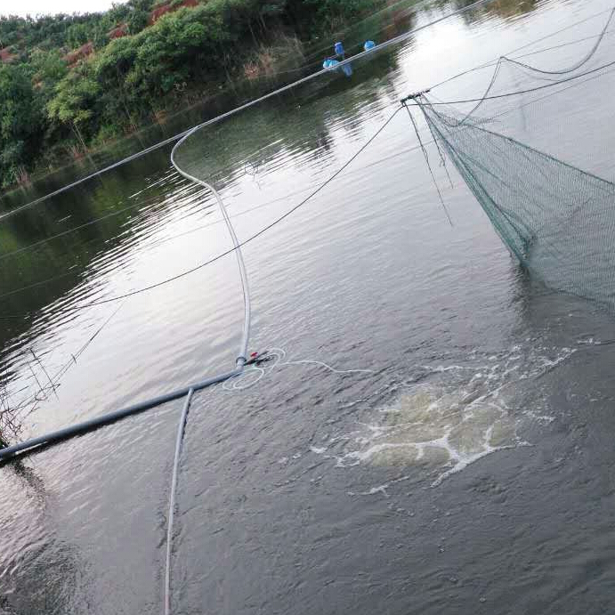 微孔曝氣增氧機養(yǎng)殖戶使用現場