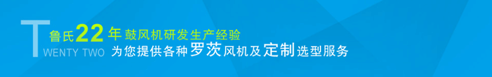 龍鐵鼓風機--中國羅茨鼓風機供應商